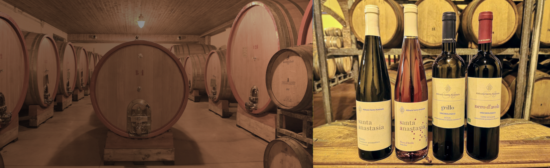 con il nostro assortimento di vini